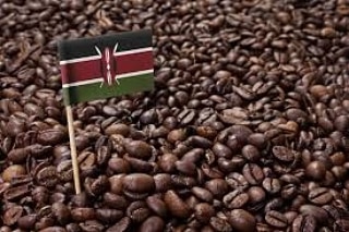 Kenya Tea - Primax Agencies Limited