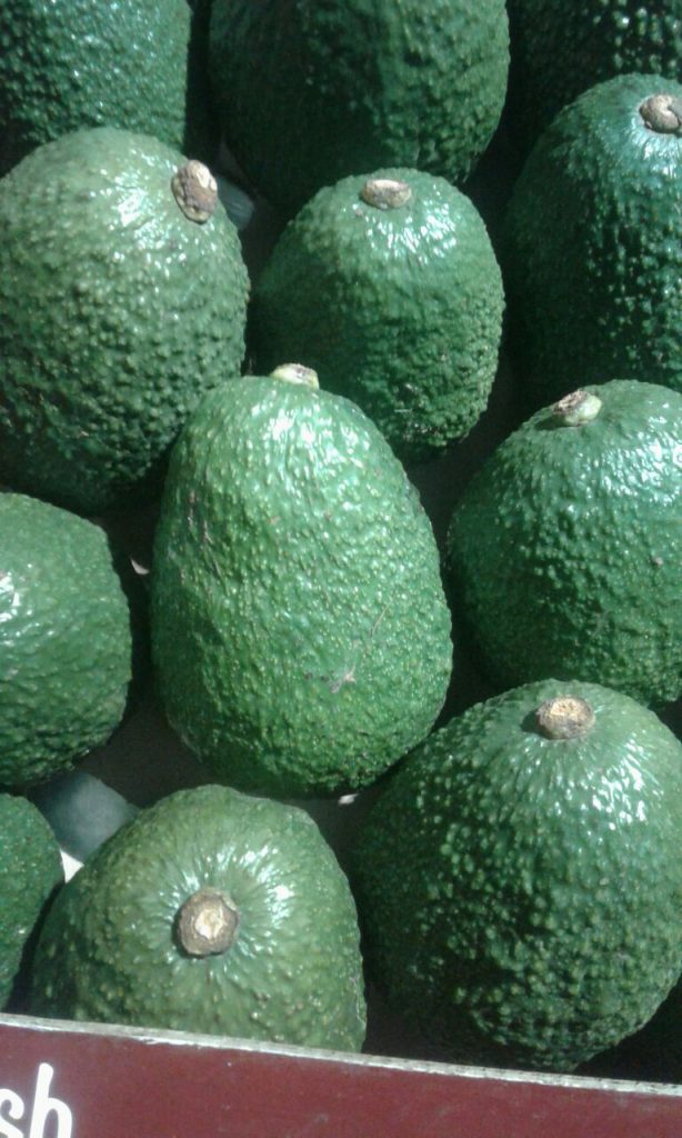 Primax Growers Limited - Avocado fruit